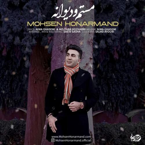 محسن هنرمند مستم و دیوانه